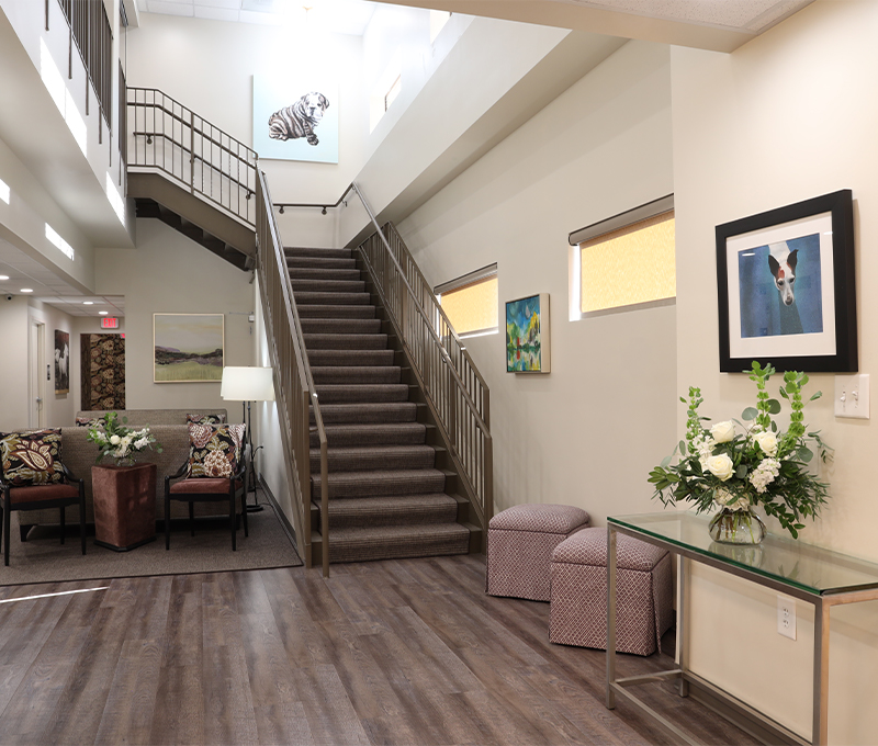 Charlotte Skin & Laser stairway