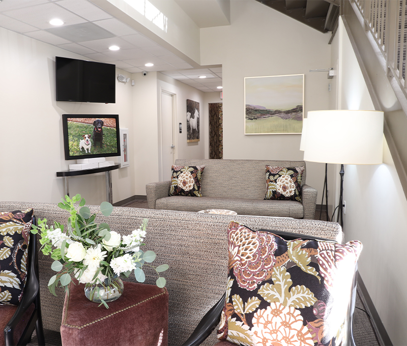 Charlotte Skin & Laser cozy waiting room